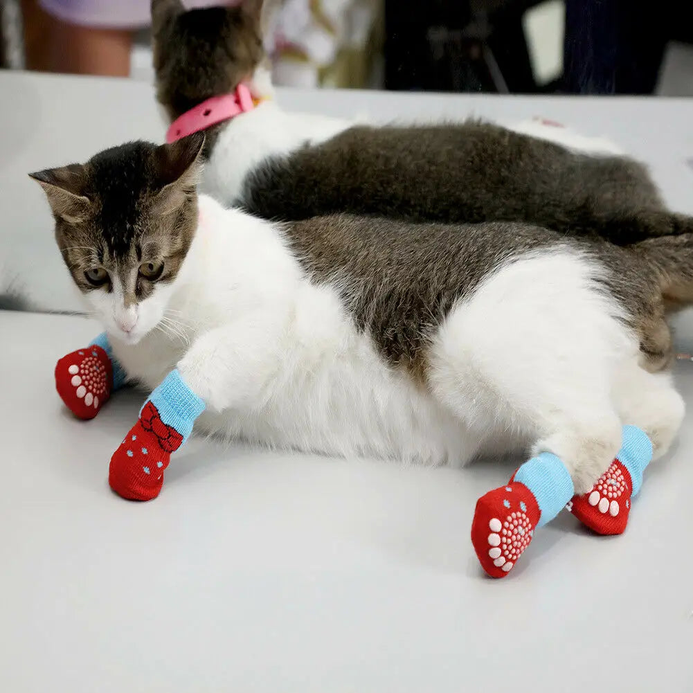 Cute Indoor Puppy Shoes