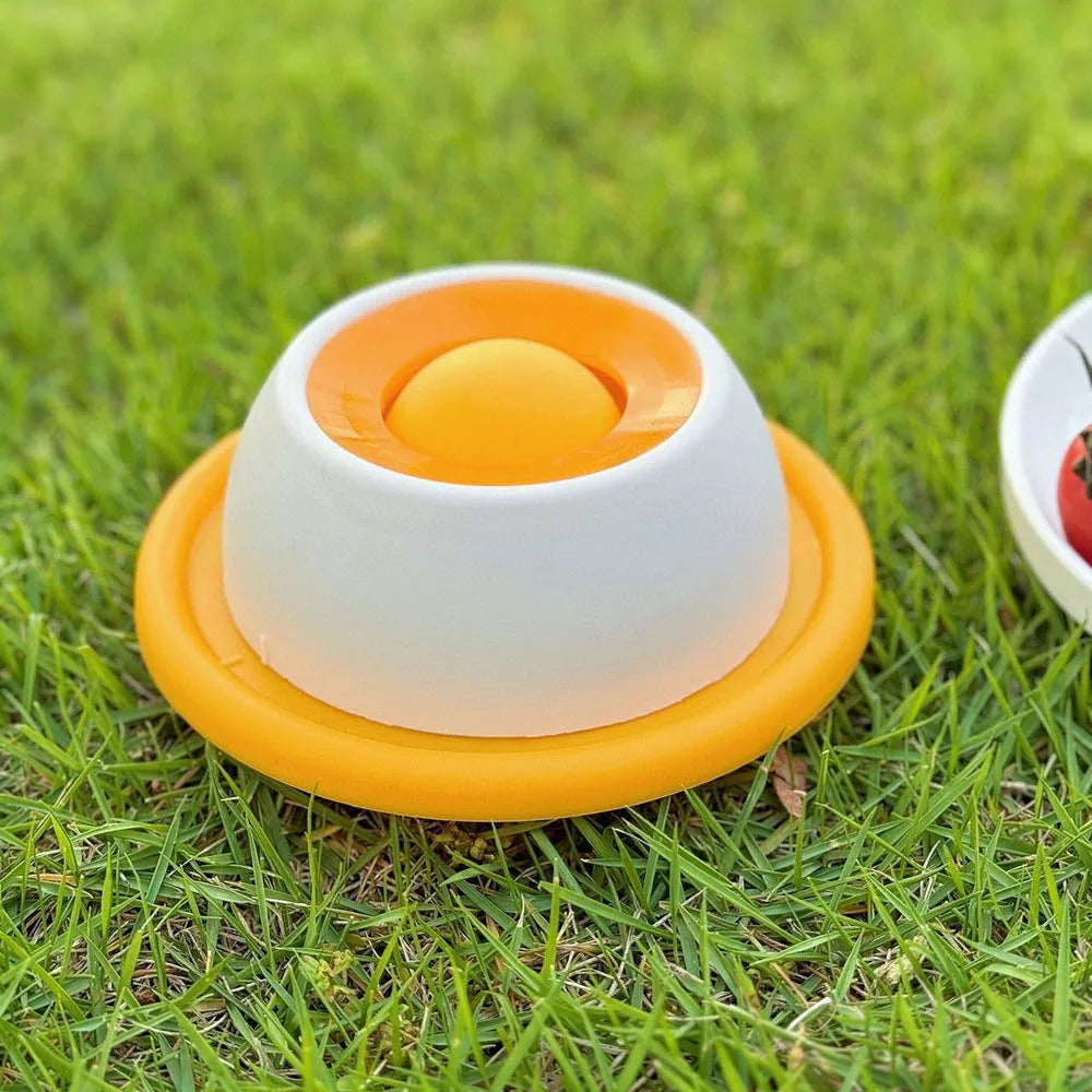Slow Feeding Silicone Pet Plate