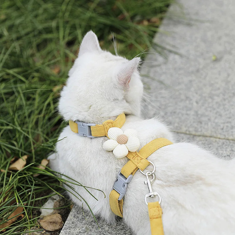 Adjustable Cat & Dog Harness Set