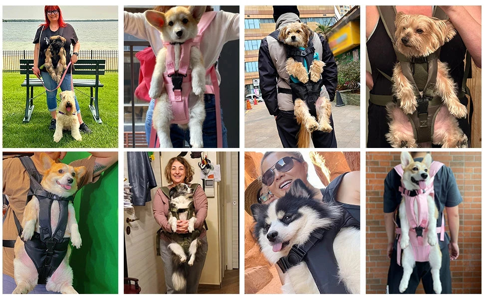 Outdoor Dog Carrier Backpack