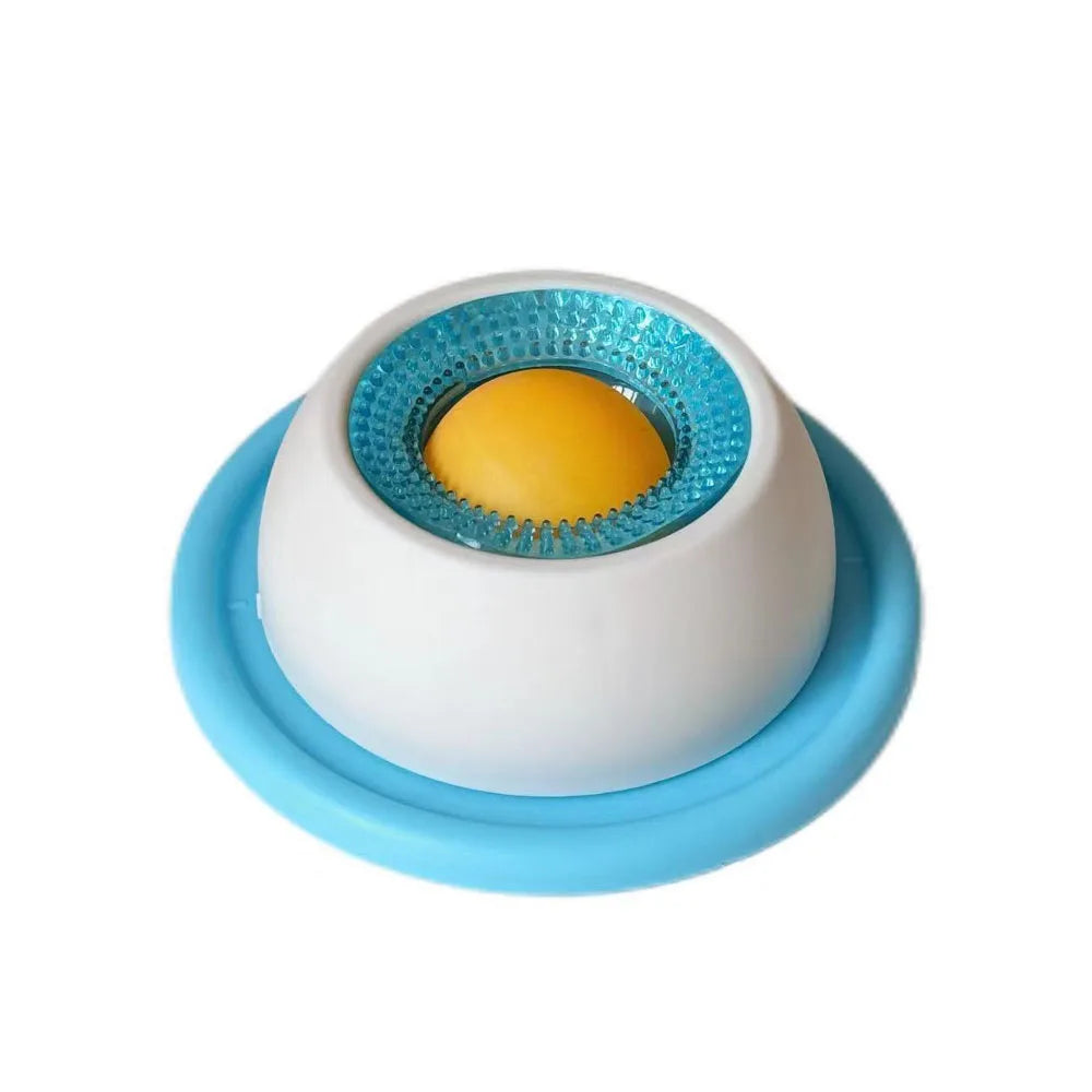 Slow Feeding Silicone Pet Plate