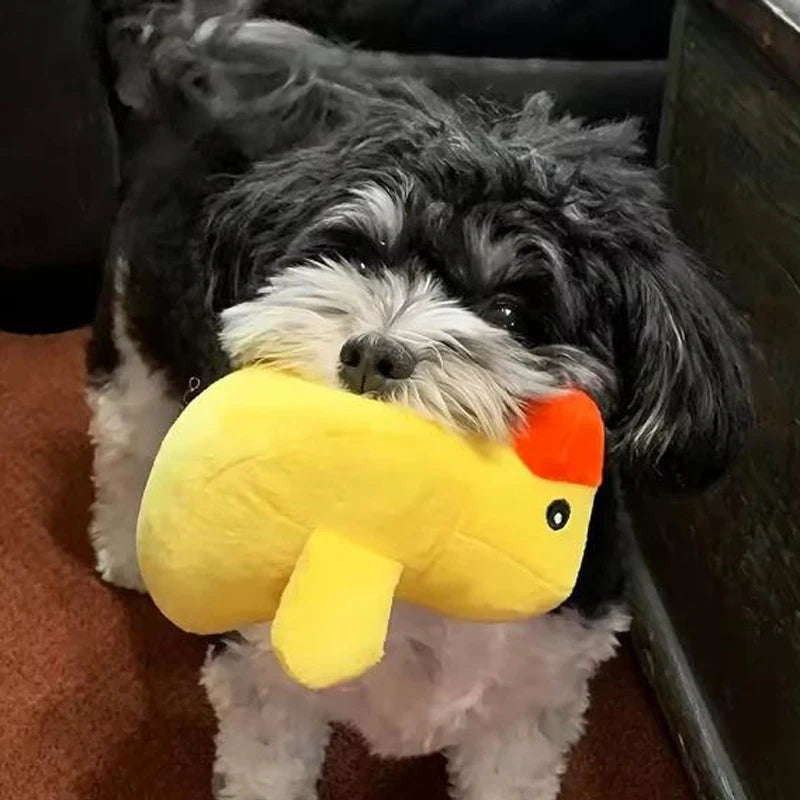 Soft Puppy Chewing Toys Set