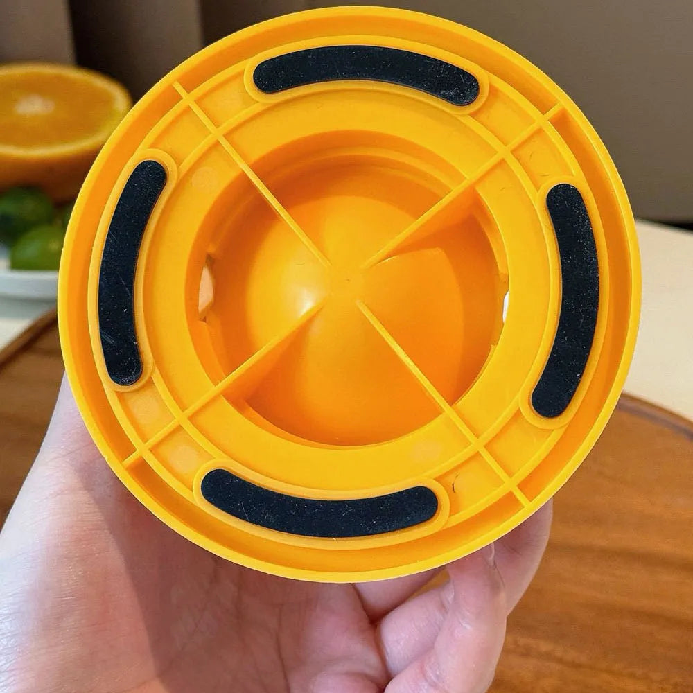 Slow Feeding Silicone Pet Plate