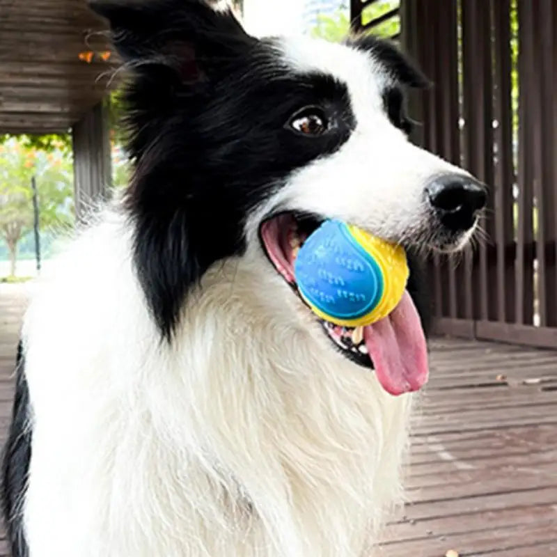 Dog Training Chew Ball Toy