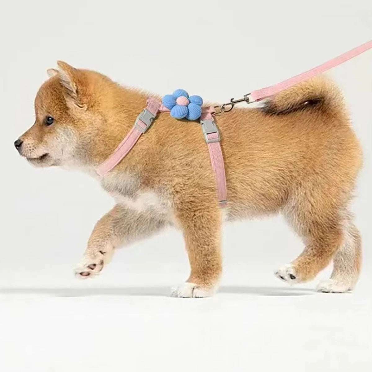 Adjustable Cat & Dog Harness Set