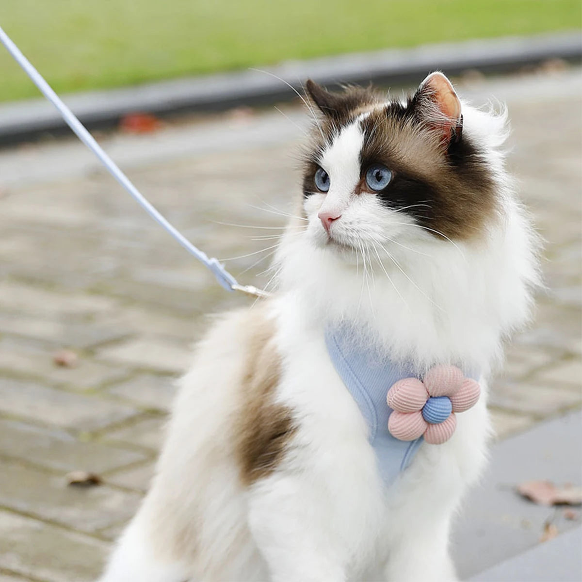 Adjustable Cat & Dog Harness Set