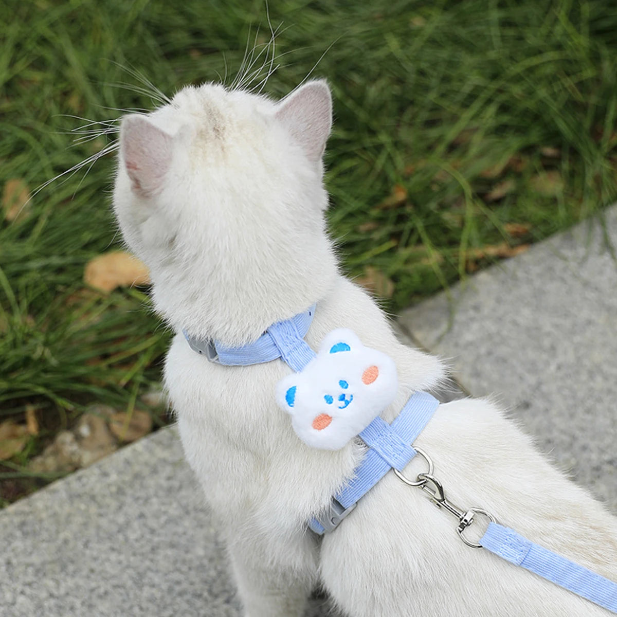 Adjustable Cat & Dog Harness Set