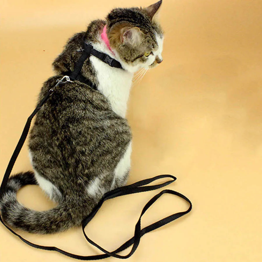 Adjustable Cat Vest Harness Nylon