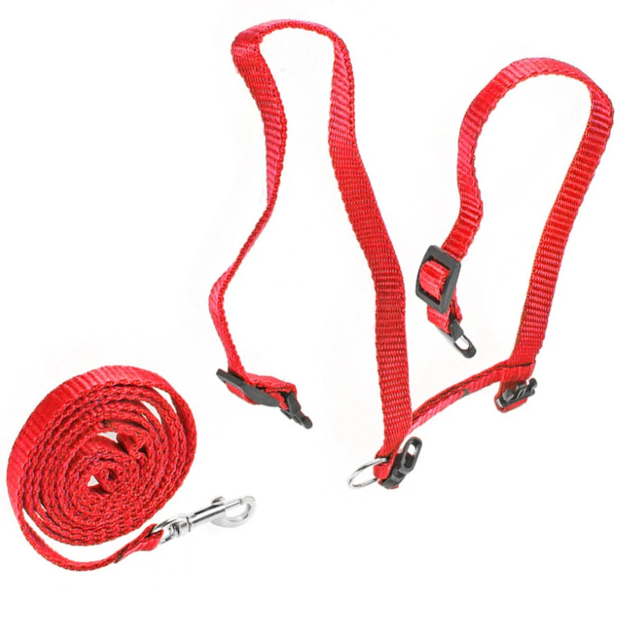 Adjustable Cat Vest Harness Nylon