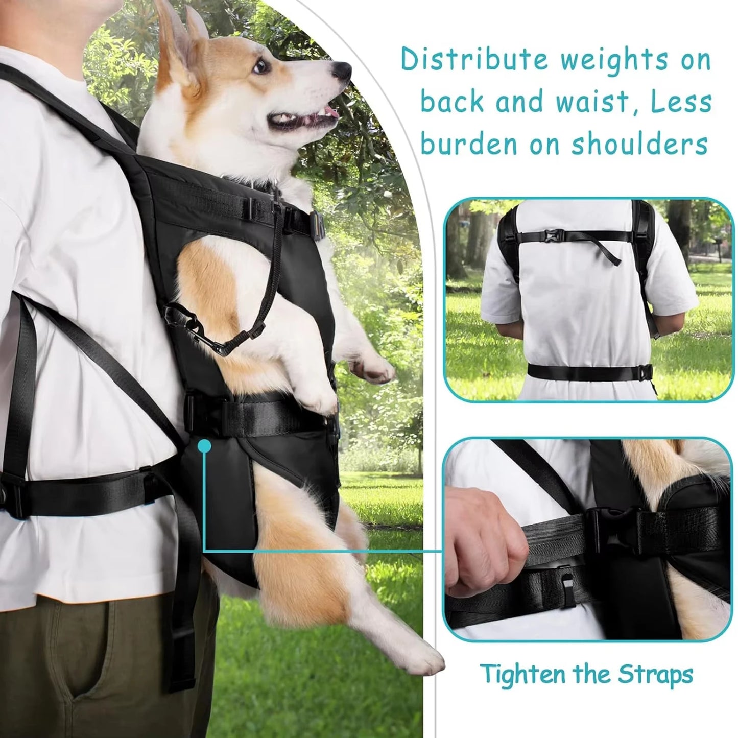 Outdoor Dog Carrier Backpack