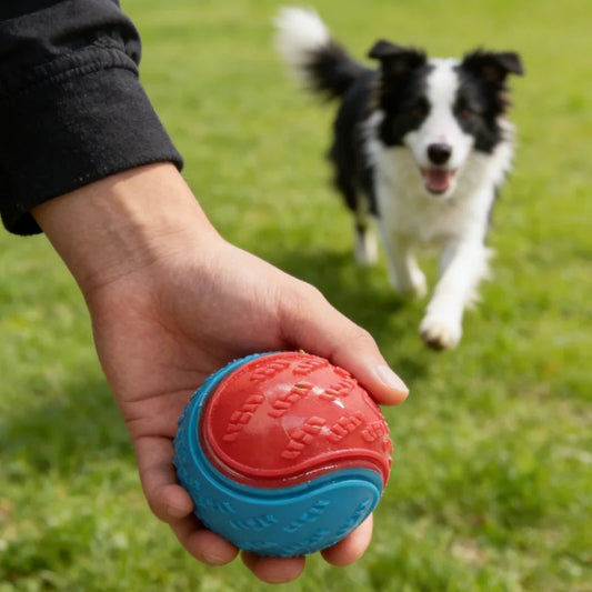 Dog Training Chew Ball Toy