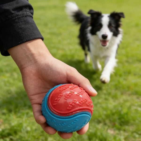 Dog Training Chew Ball Toy