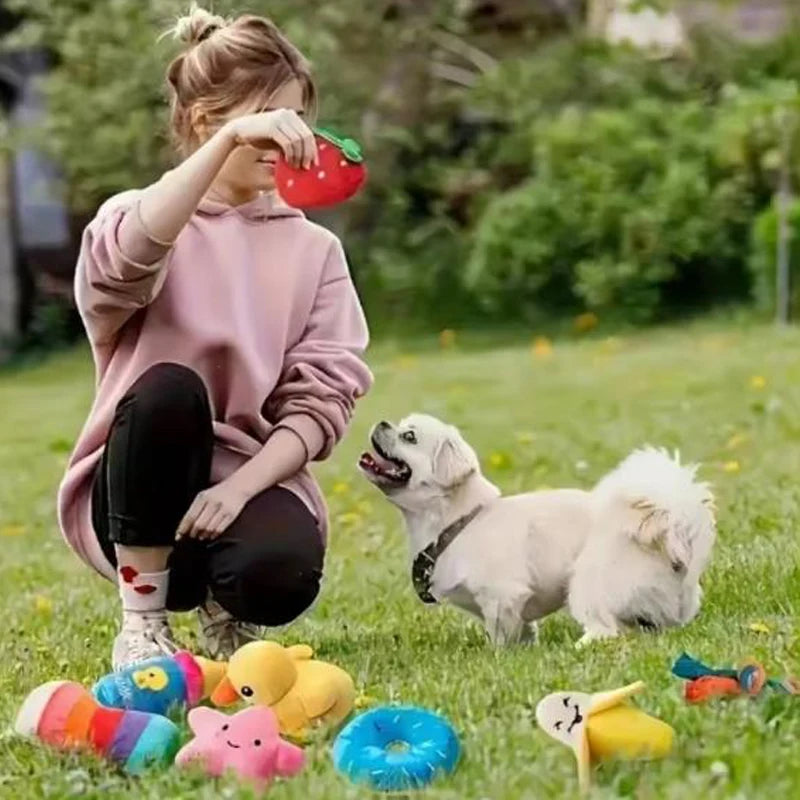 Soft Puppy Chewing Toys Set