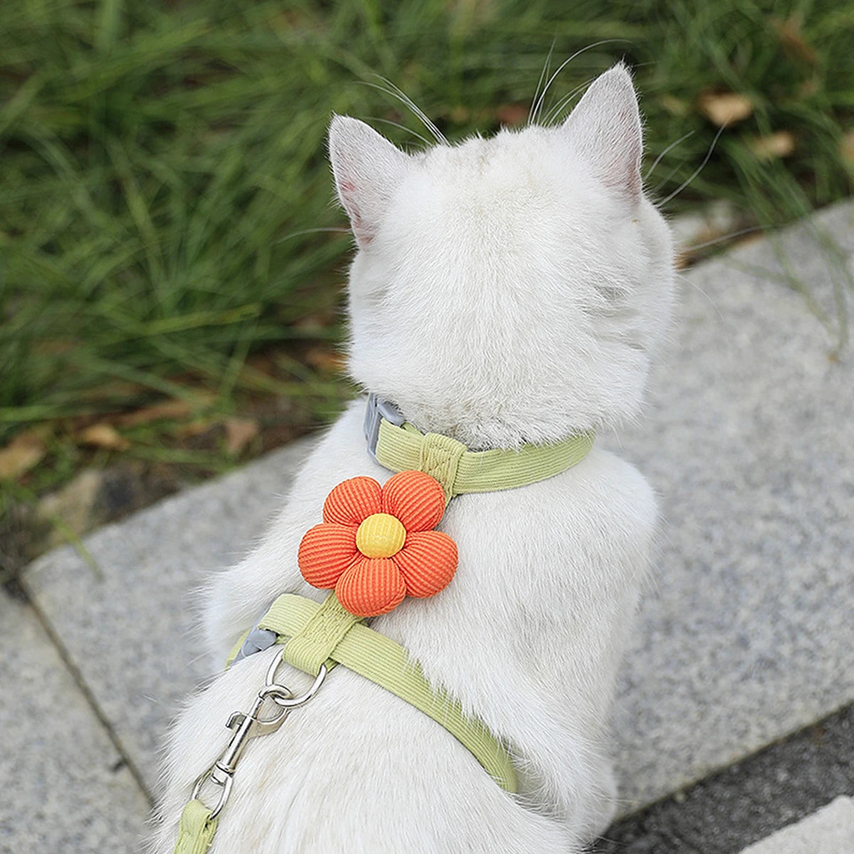 Adjustable Cat & Dog Harness Set