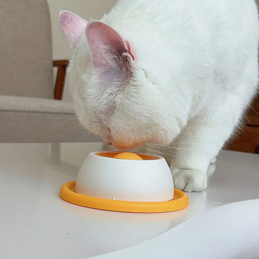 Slow Feeding Silicone Pet Plate