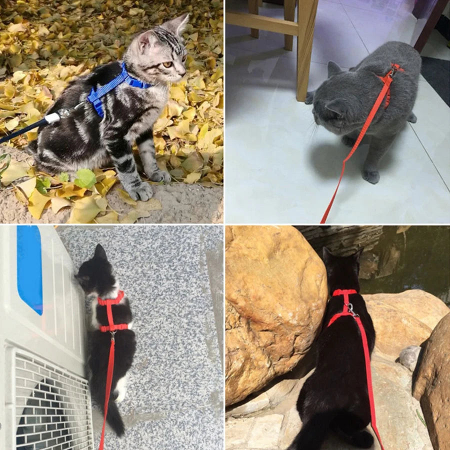 Adjustable Cat Vest Harness Nylon