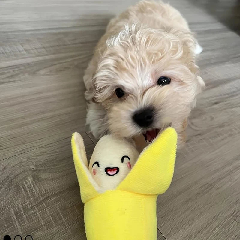Soft Puppy Chewing Toys Set