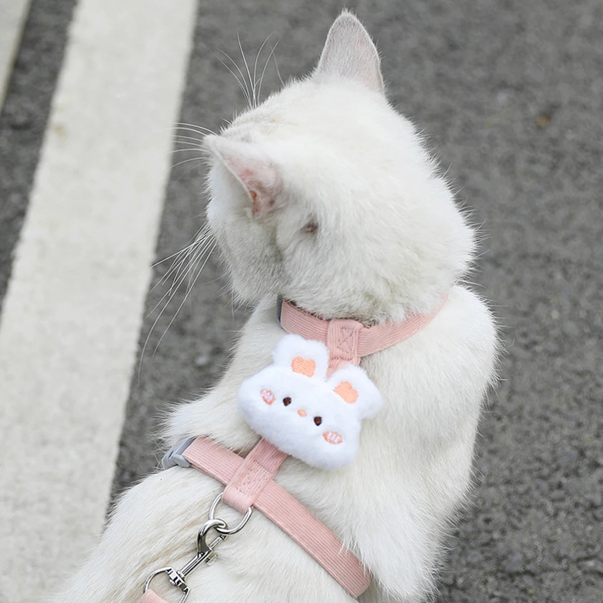 Adjustable Cat & Dog Harness Set