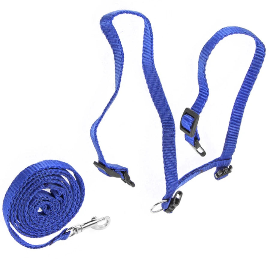 Adjustable Cat Vest Harness Nylon