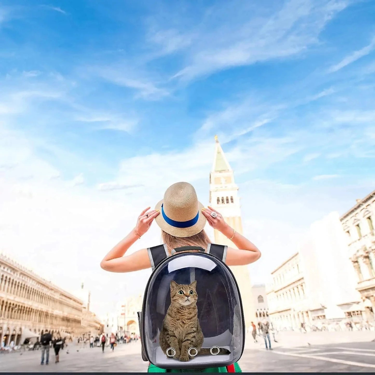 Breathable Cat Travel Backpack