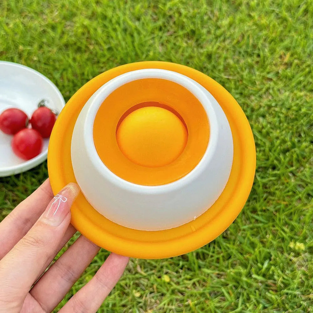 Slow Feeding Silicone Pet Plate