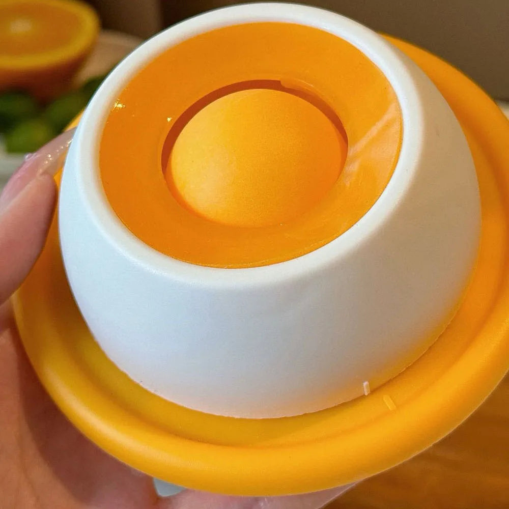 Slow Feeding Silicone Pet Plate